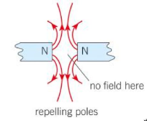 PHOTO TWO NORTH POLES